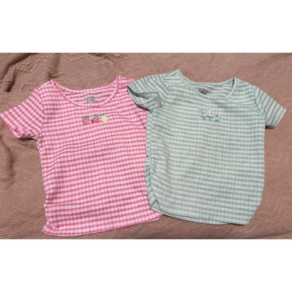 Garanimals Girls 3T Ribbed Gingham T-Shirt Bundle Pink Fruit Green Floral 2 Pack